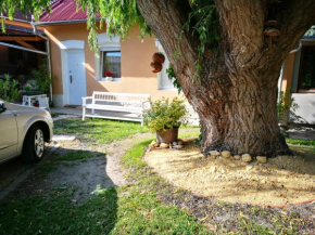 Гостиница City Camping& Apartman &Bungalow  Дьор